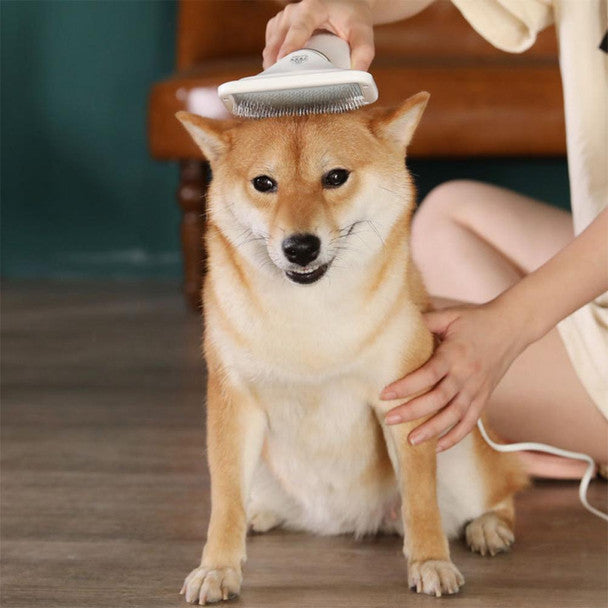 Mujer cepillando y secando a perro Shiba Inu con cepillo secador eléctrico 2 en 1
